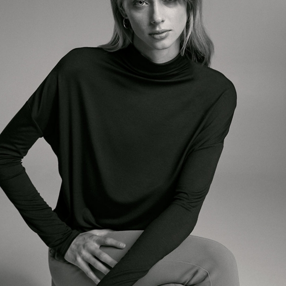 Babaton Tops - 2/$50 Babaton cozy seaton turtleneck